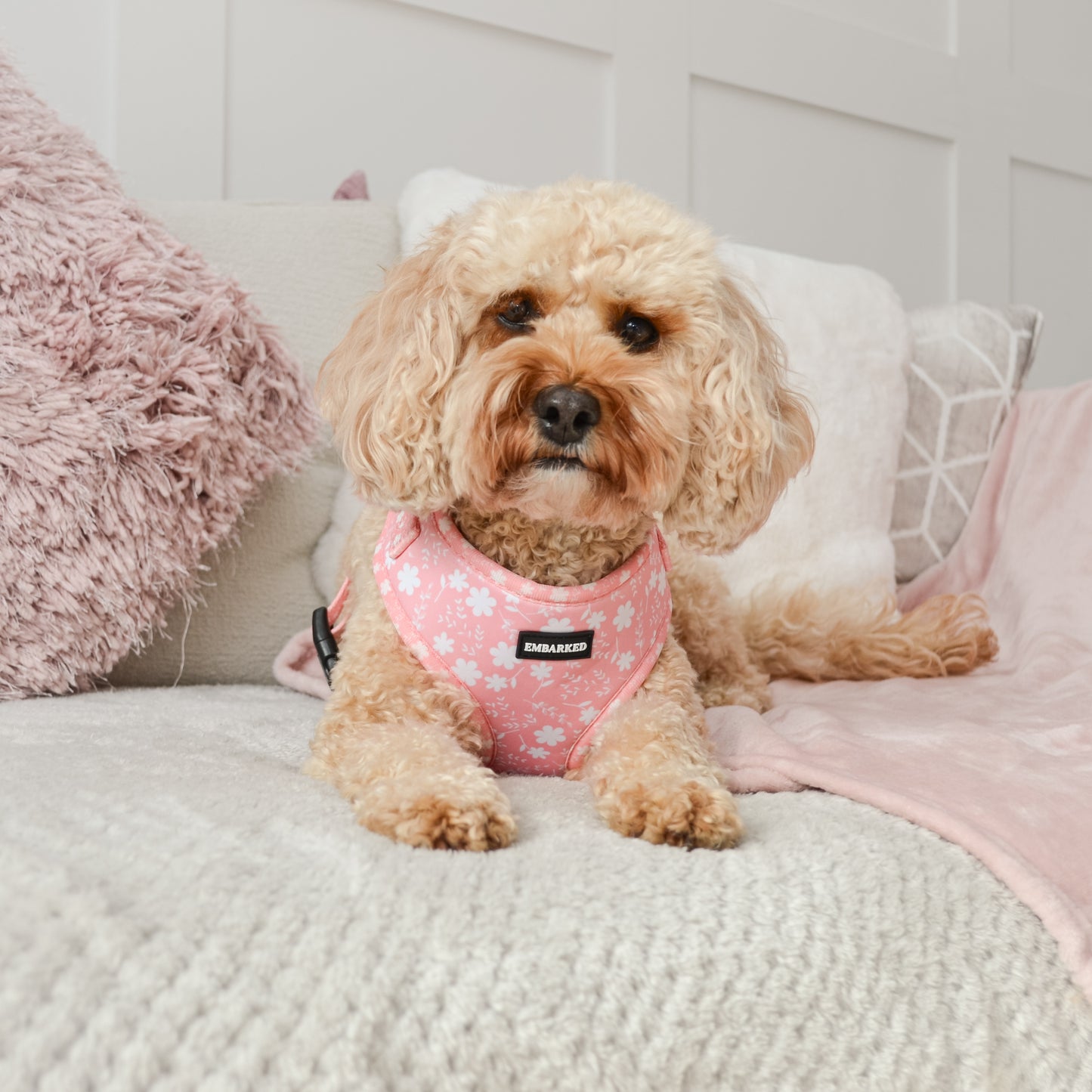 Adjustable Dog Harness - Pretty in Pink