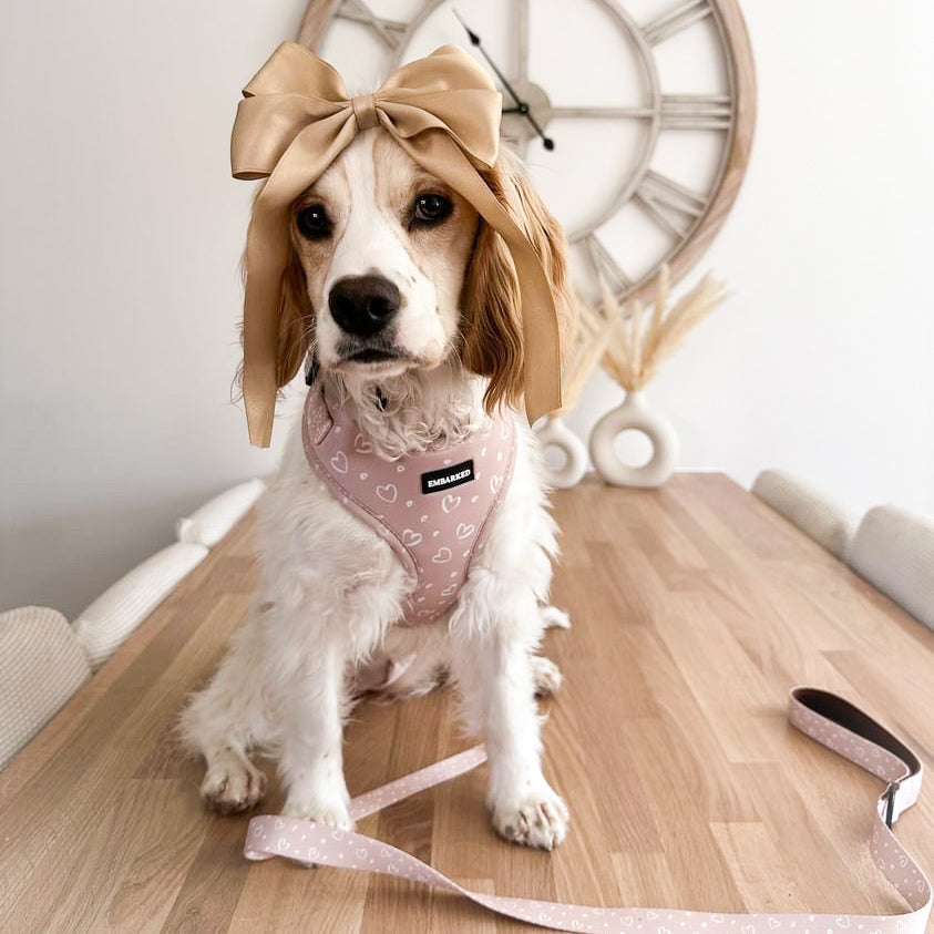 Adjustable Dog Harness - Love You Mocha