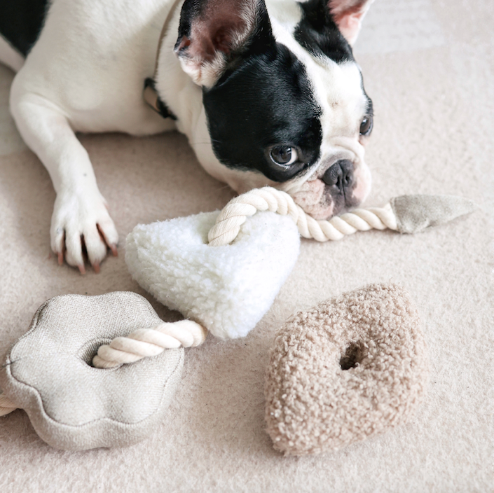 Blocs Enrichment Dog Toy