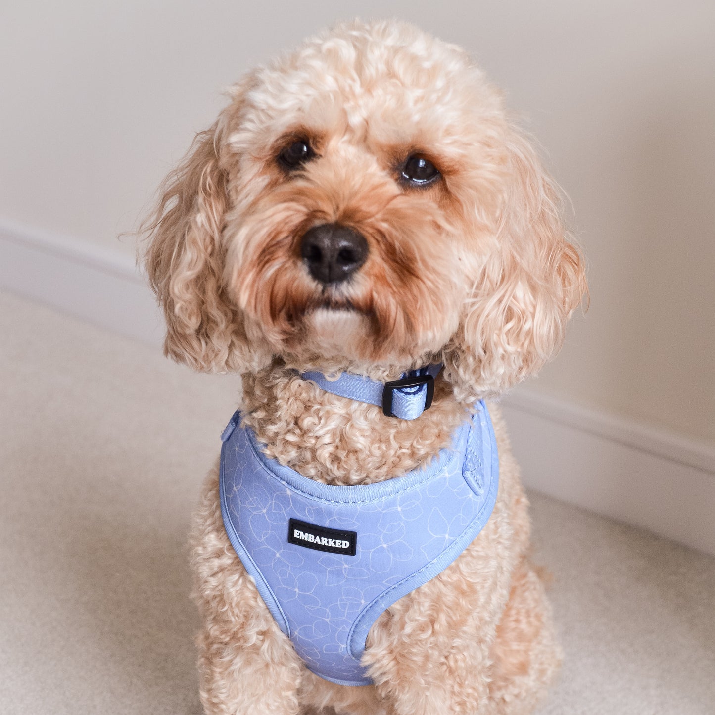 Adjustable Dog Harness - Blue Meadows