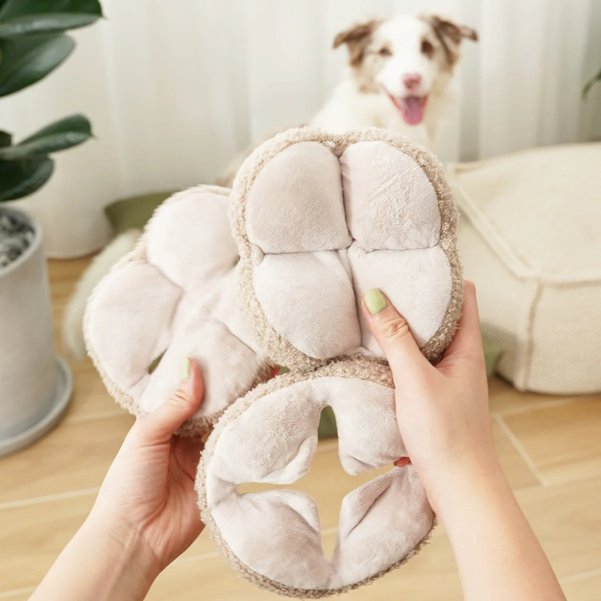 Monti Enrichment Dog Toy