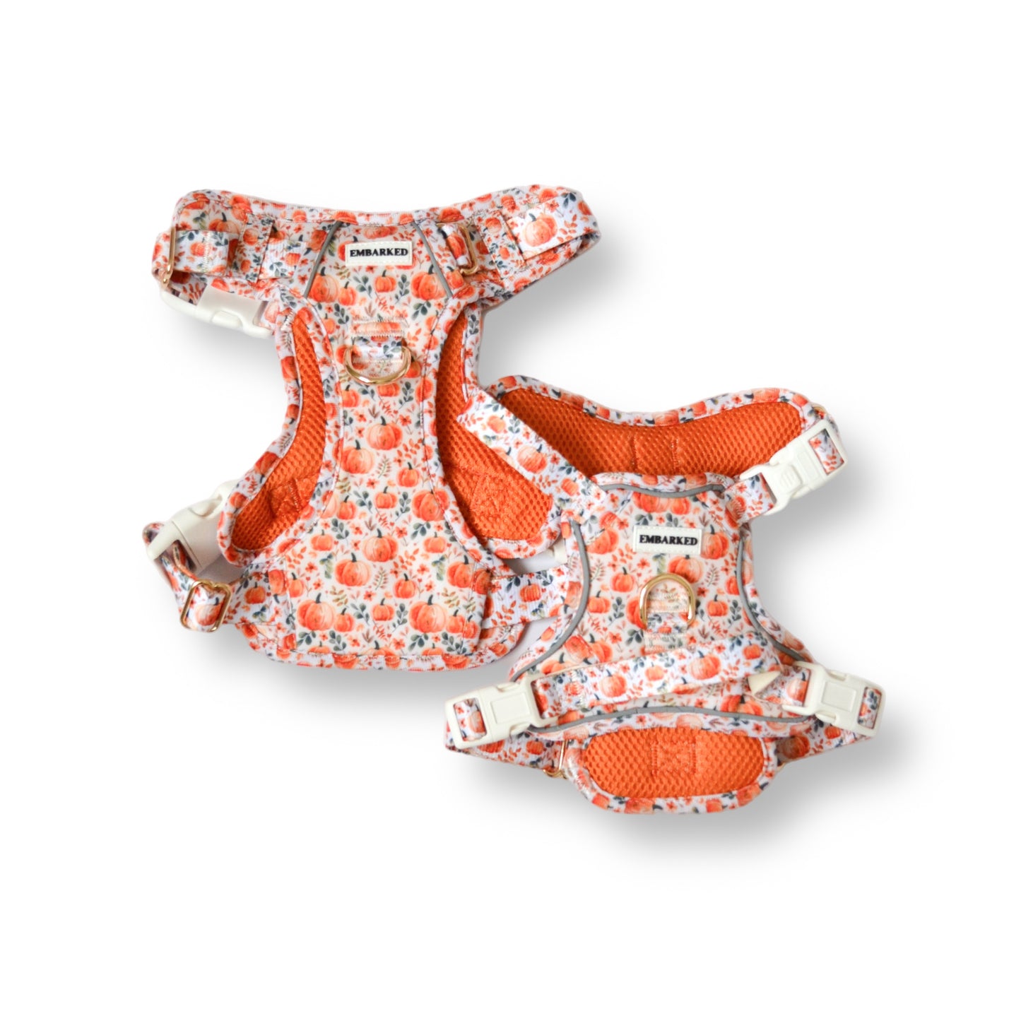 Explorer Dog Harness - Pumpkin Patch